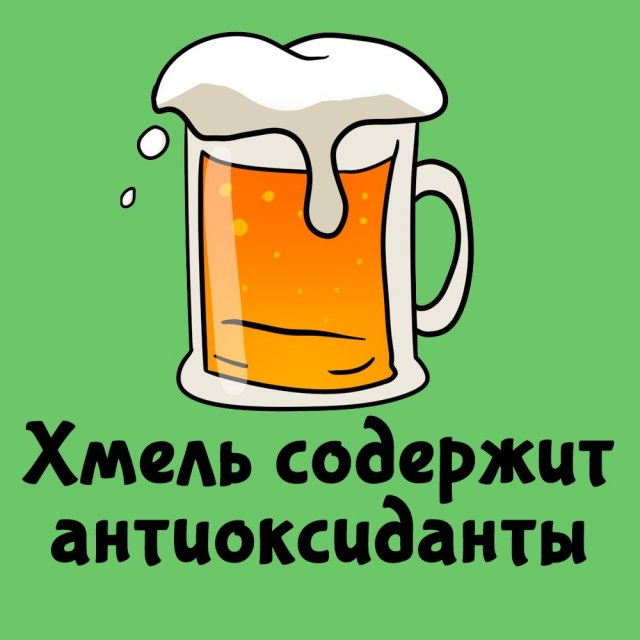 Короткие интересные факты на все случаи жизни