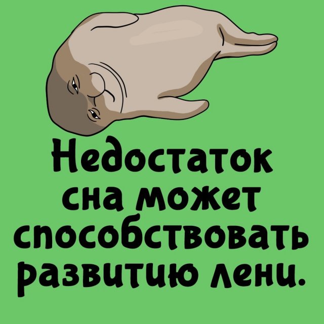 Короткие интересные факты на все случаи жизни