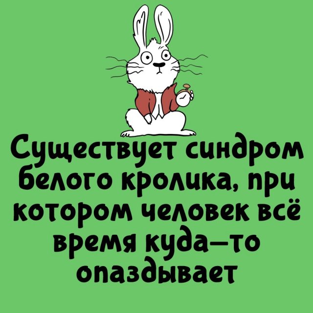 Короткие интересные факты на все случаи жизни