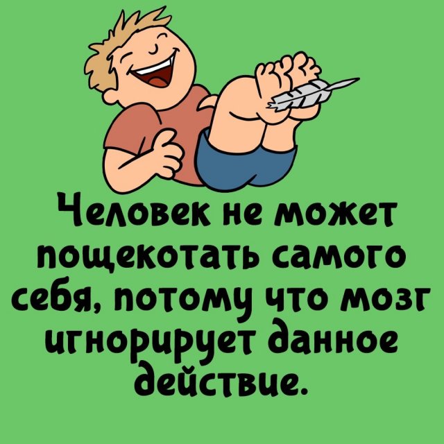 Короткие интересные факты на все случаи жизни