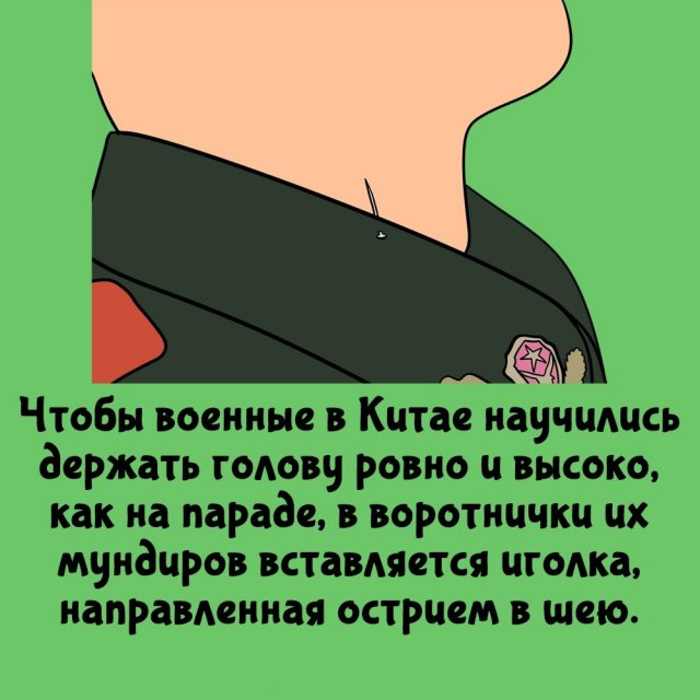 Короткие интересные факты на все случаи жизни