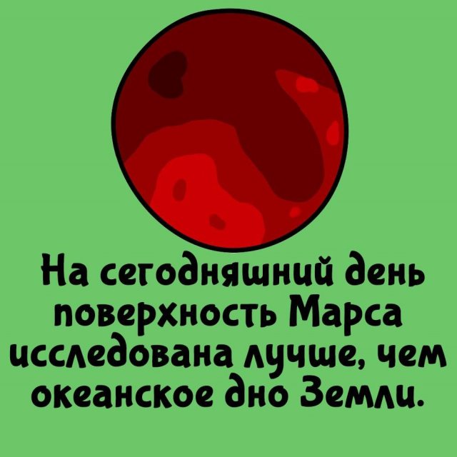 Короткие интересные факты на все случаи жизни