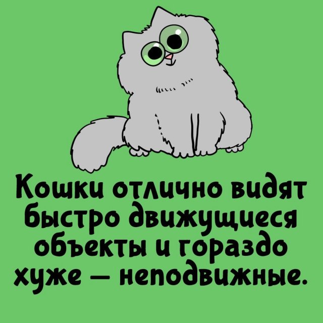 Короткие интересные факты на все случаи жизни