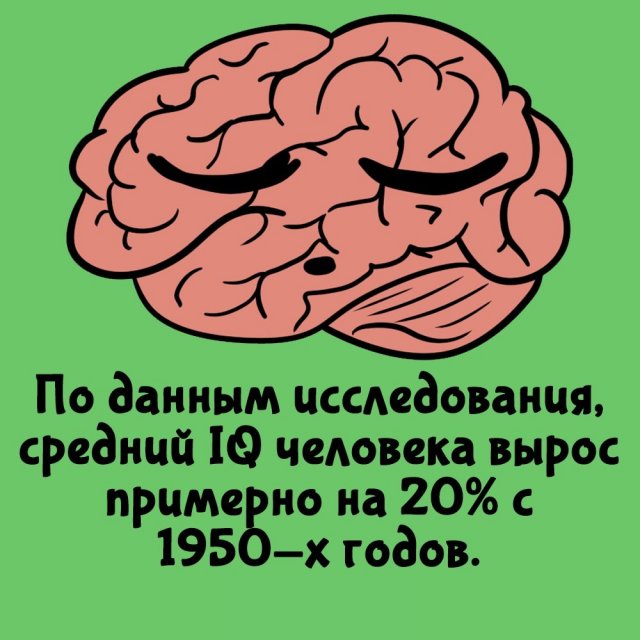 Короткие интересные факты на все случаи жизни