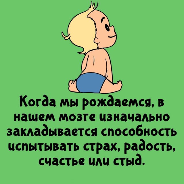 Короткие интересные факты на все случаи жизни