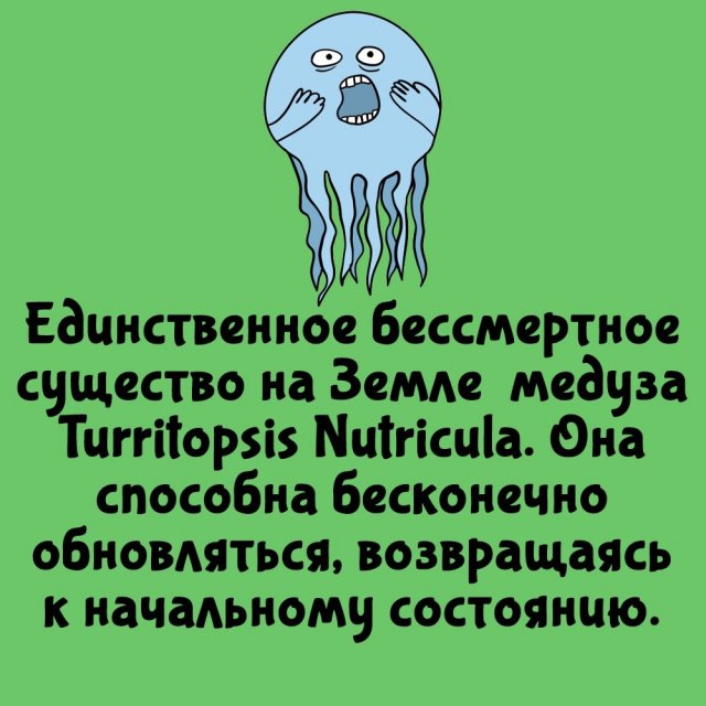 Короткие интересные факты на все случаи жизни