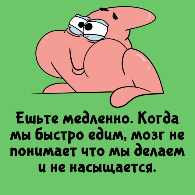Короткие интересные факты на все случаи жизни