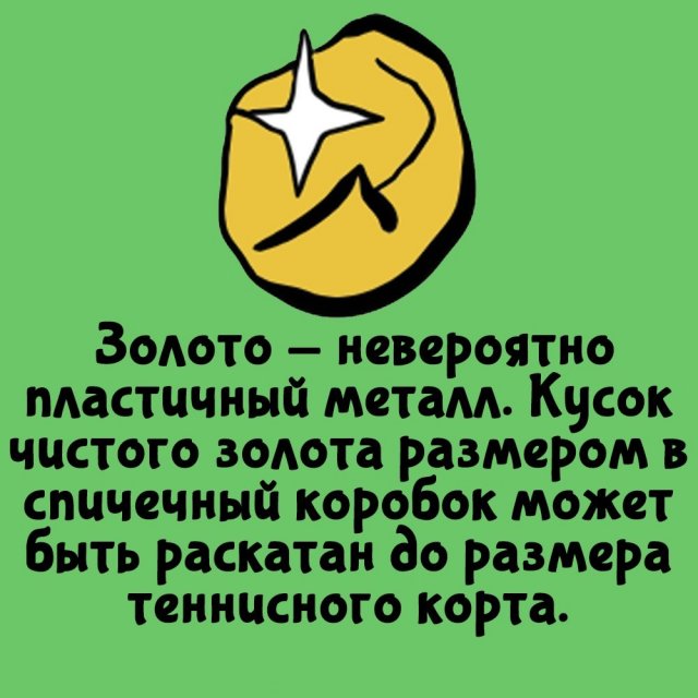 Короткие интересные факты на все случаи жизни