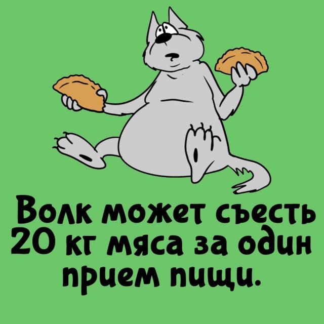 Короткие интересные факты на все случаи жизни