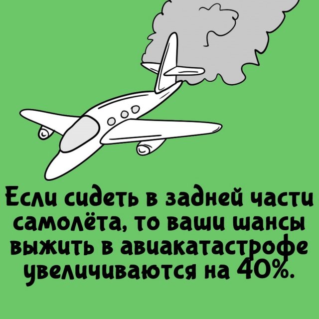 Короткие интересные факты на все случаи жизни
