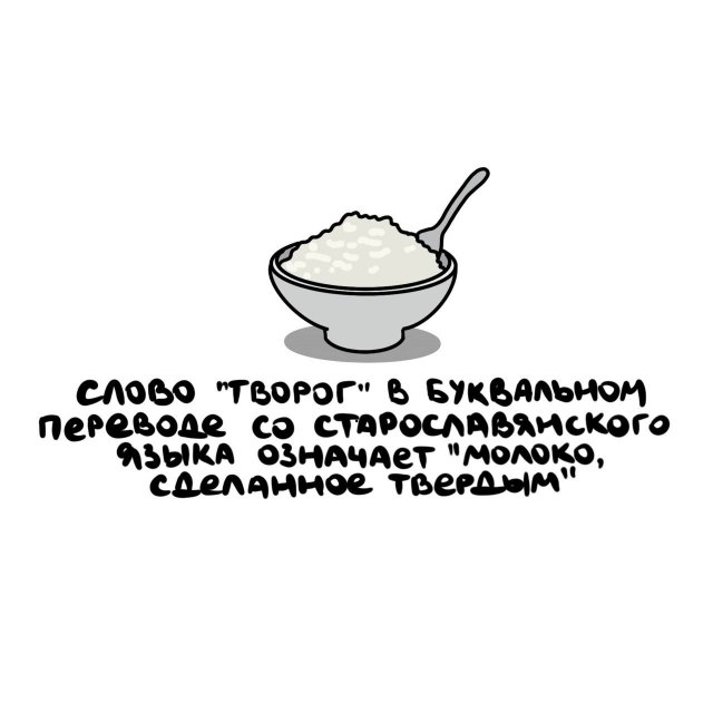 Короткие интересные факты на все случаи жизни