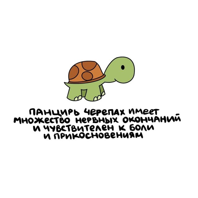 Короткие интересные факты на все случаи жизни