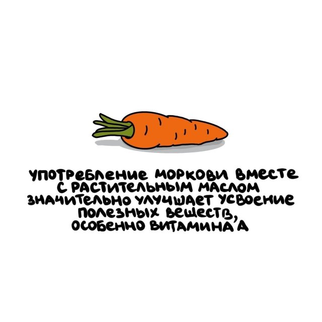 Короткие интересные факты на все случаи жизни