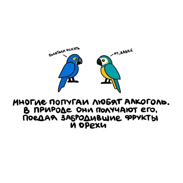 Короткие интересные факты на все случаи жизни