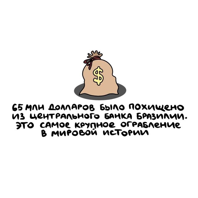 Короткие интересные факты на все случаи жизни