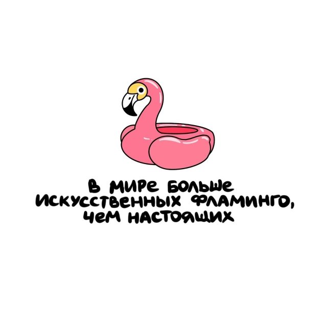 Короткие интересные факты на все случаи жизни