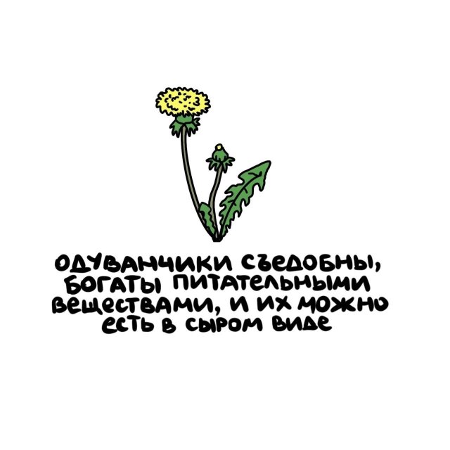 Короткие интересные факты на все случаи жизни