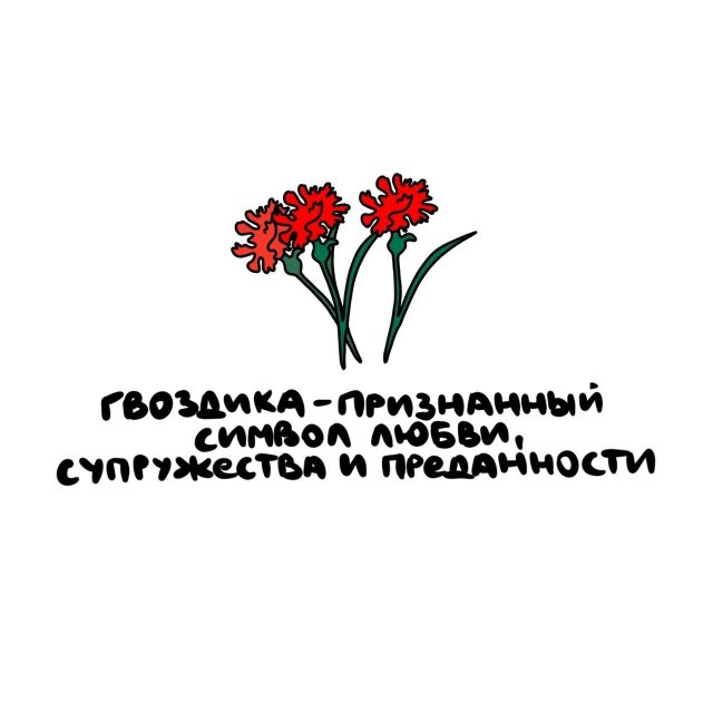 Короткие интересные факты на все случаи жизни