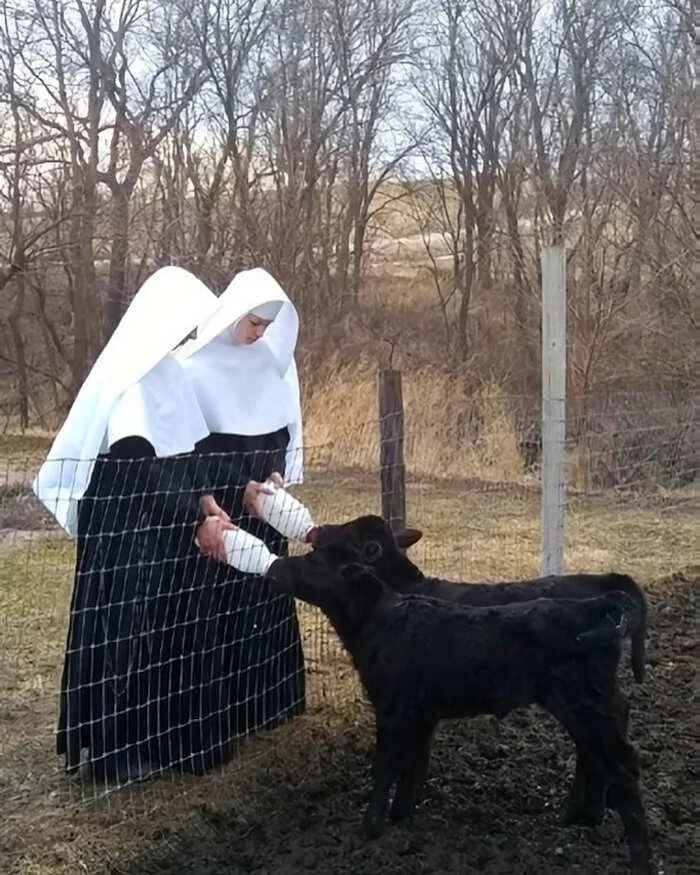 Снимки выдающихся фотографов, запечатлевших уникальные моменты