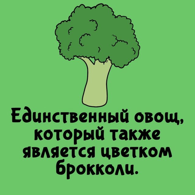 Короткие интересные факты на все случаи жизни