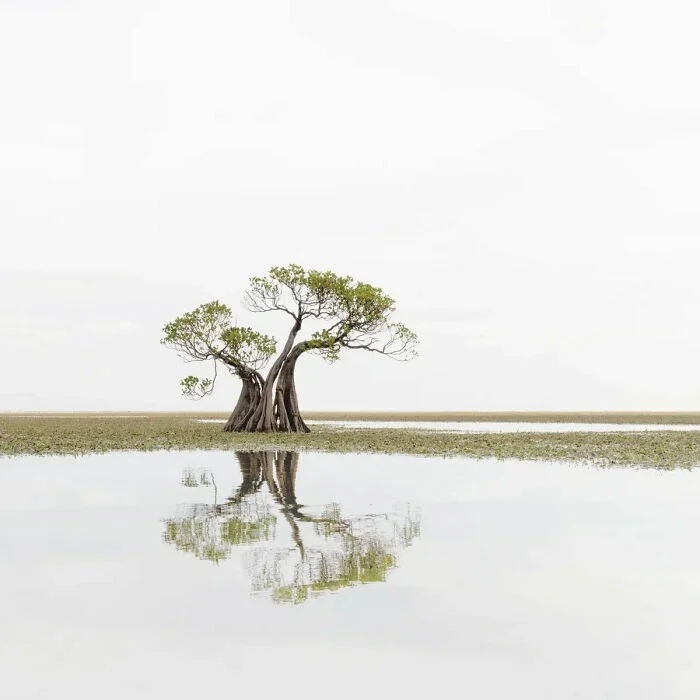 Фотографии с конкурса Minimalist Photography Awards, где минимализм говорит сам за себя