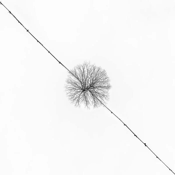 Фотографии с конкурса Minimalist Photography Awards, где минимализм говорит сам за себя