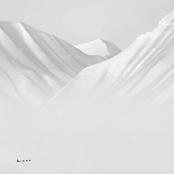 Фотографии с конкурса Minimalist Photography Awards, где минимализм говорит сам за себя