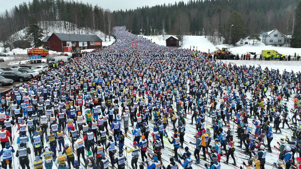 Подборка прикольных картинок