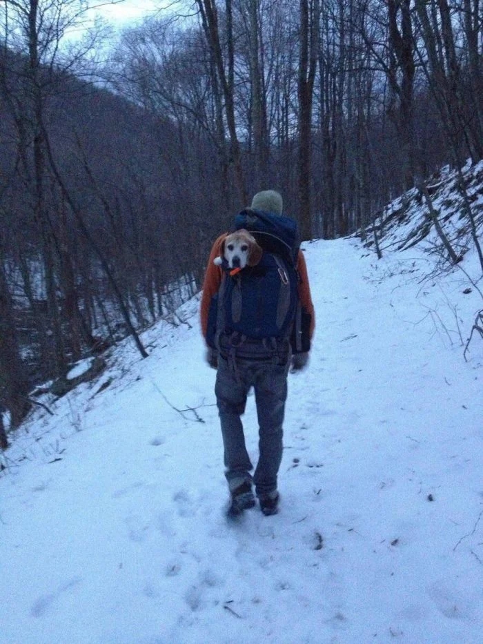 Занятные кадры, которые удалось сфотографировать в походе