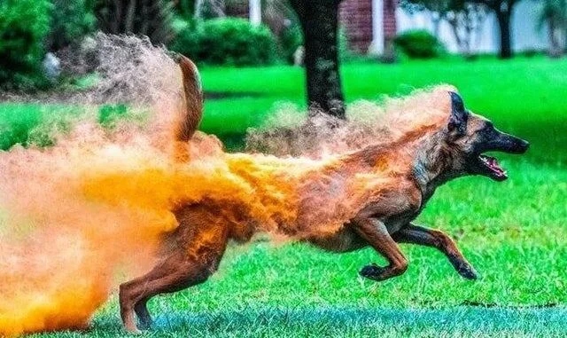 Снимки простых вещей, которые вас удивят