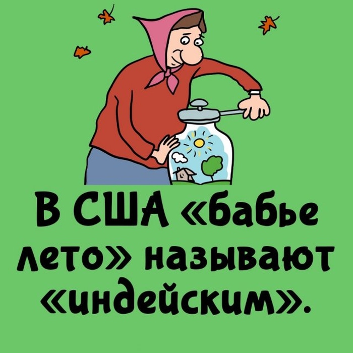 Короткие интересные факты на все случаи жизни