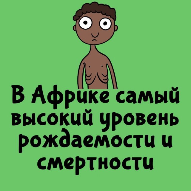 Короткие интересные факты на все случаи жизни