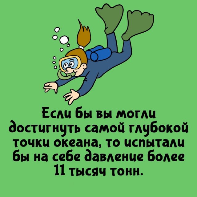 Короткие интересные факты на все случаи жизни