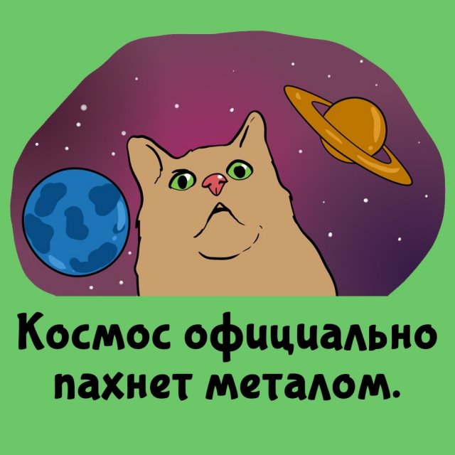 Короткие интересные факты на все случаи жизни