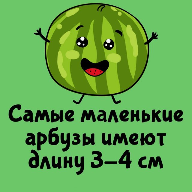 Короткие интересные факты на все случаи жизни