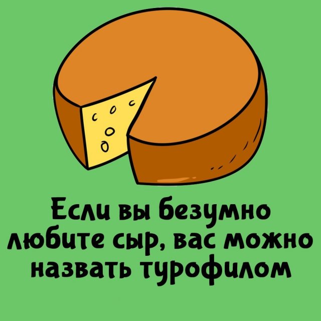 Короткие интересные факты на все случаи жизни
