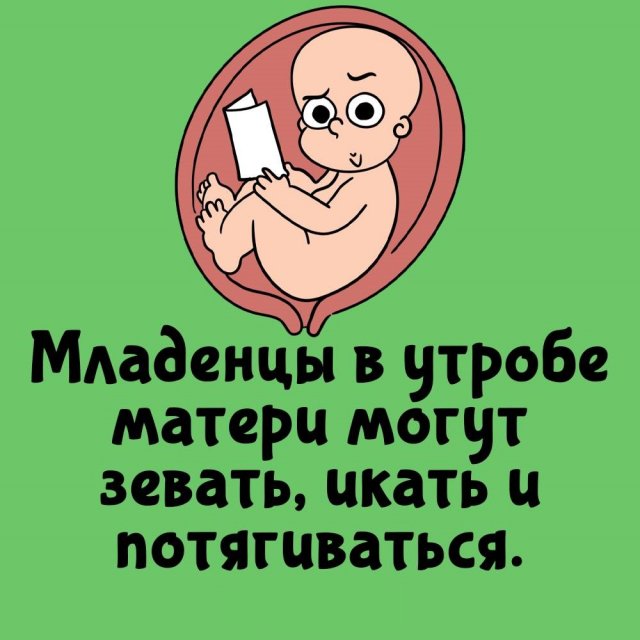 Короткие интересные факты на все случаи жизни