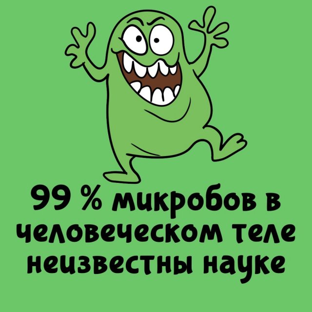 Короткие интересные факты на все случаи жизни