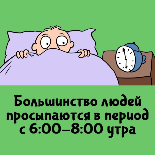 Короткие интересные факты на все случаи жизни