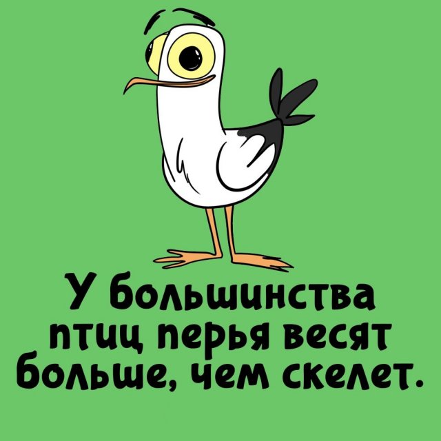 Короткие интересные факты на все случаи жизни