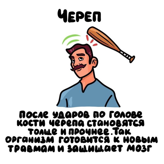 Интересные короткие факты на все случаи жизни