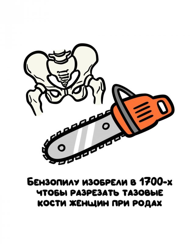 Интересные короткие факты на все случаи жизни