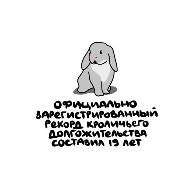 Интересные короткие факты на все случаи жизни