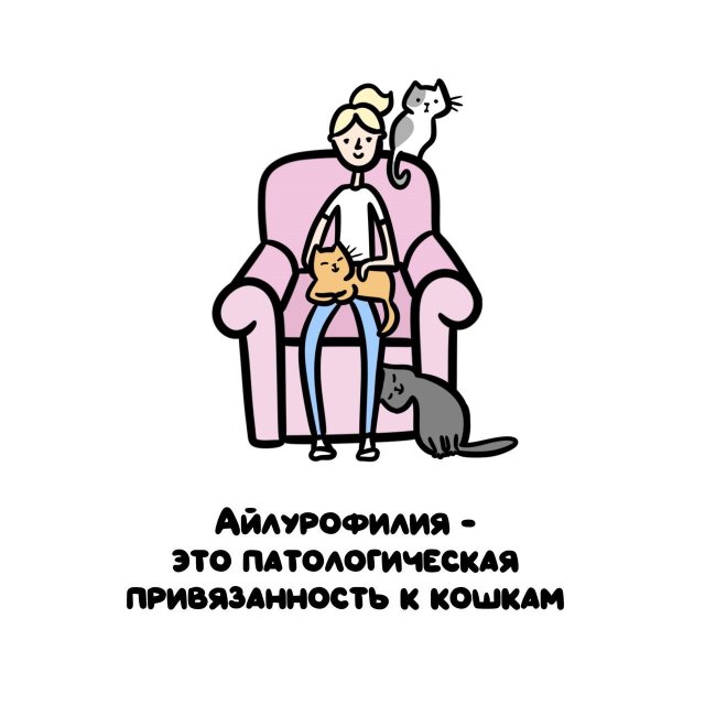 Интересные короткие факты на все случаи жизни