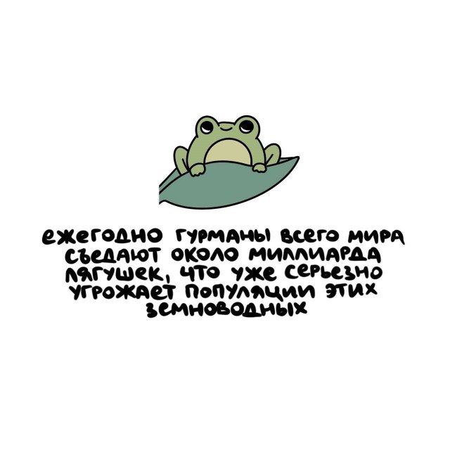 Интересные короткие факты на все случаи жизни