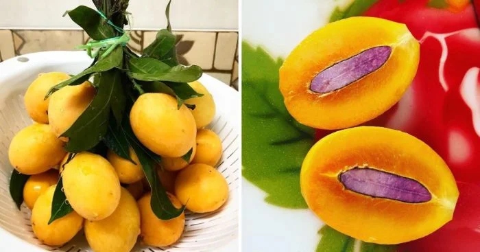 Необычные редкие фрукты и плоды, о которых вы не знали