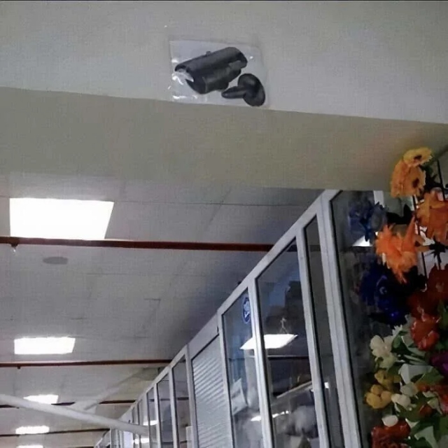 Забавные кадры, на которых не понятно что происходит
