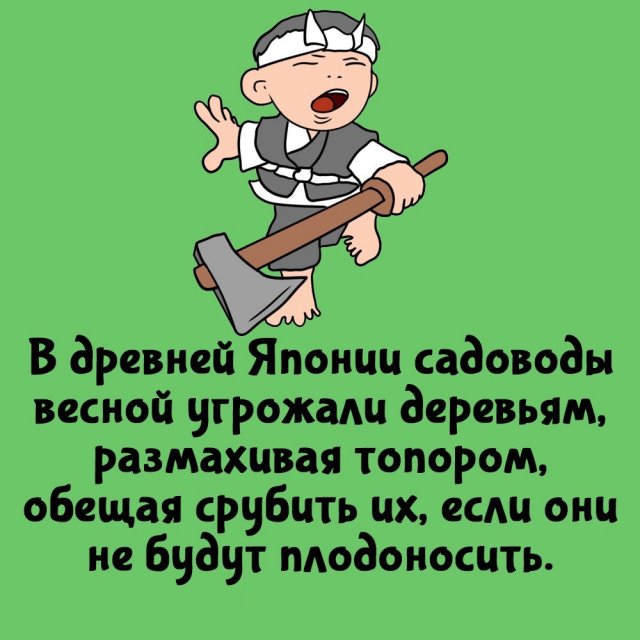 Короткие интересные факты на все случаи жизни