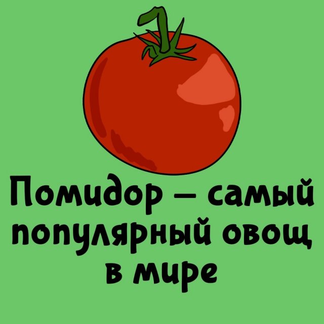 Короткие интересные факты на все случаи жизни