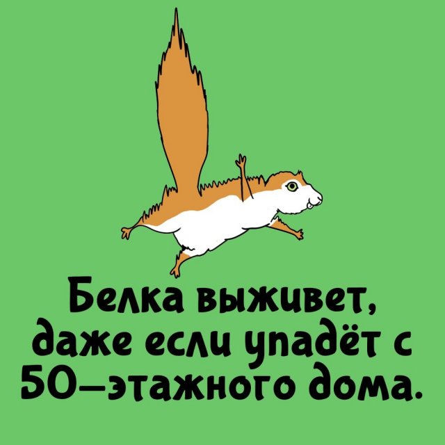 Короткие интересные факты на все случаи жизни